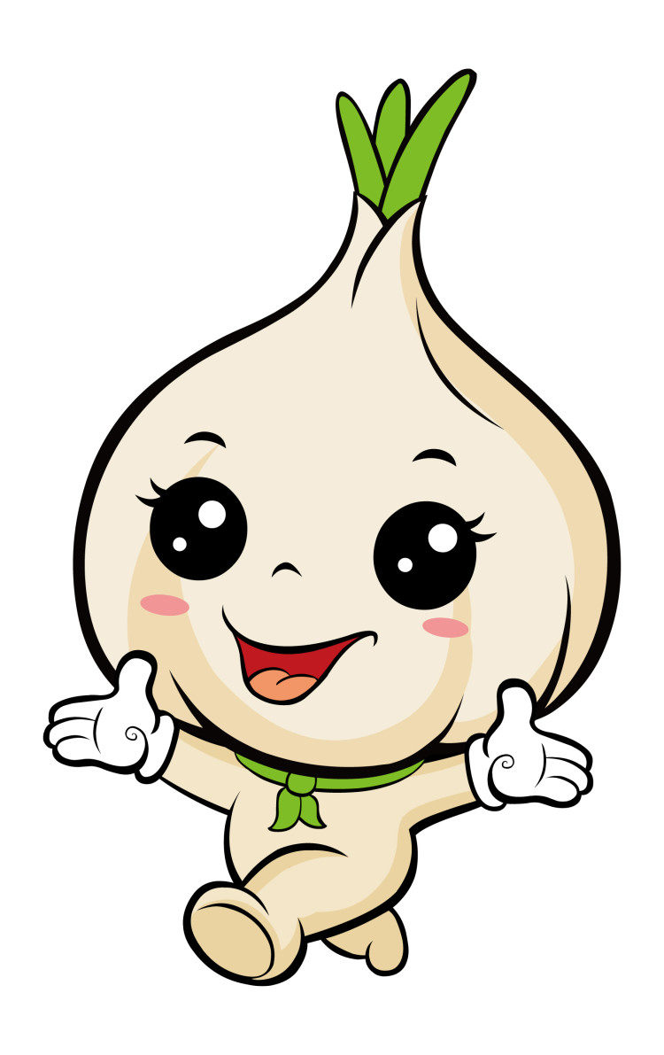 浩瀚大蒜直供代理全国火热招募
