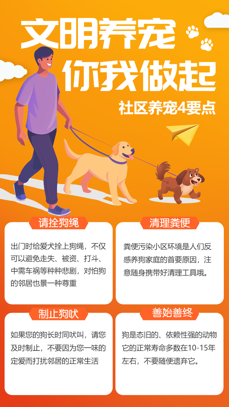 文明养宠 你我做起