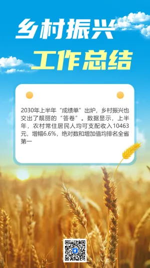 乡村振兴 工作总结