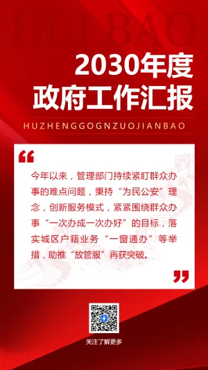 2030年度 政府工作汇报