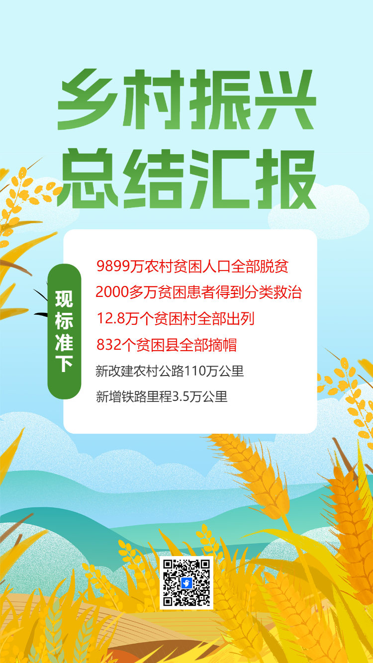 乡村振兴 总结汇报