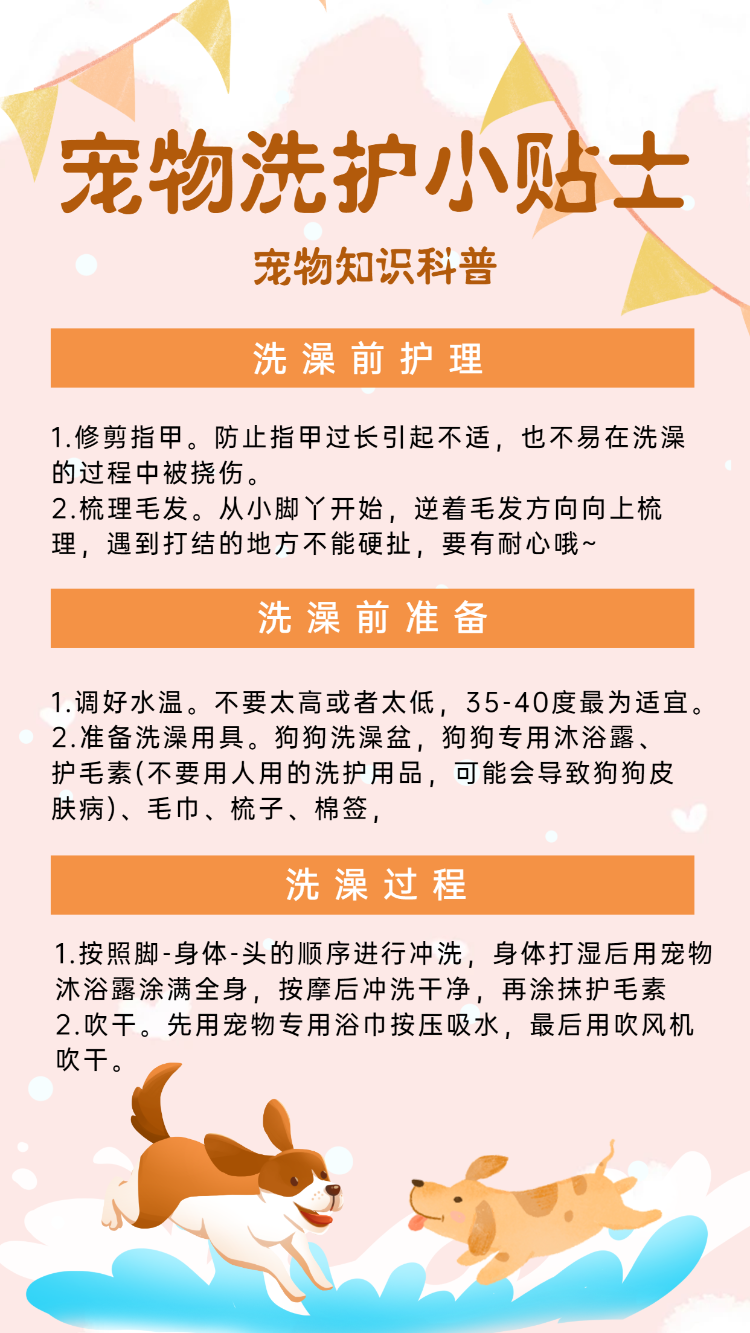 卡通宠物洗护小贴士