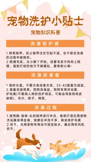 卡通宠物洗护小贴士