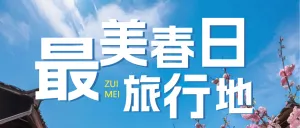 专题