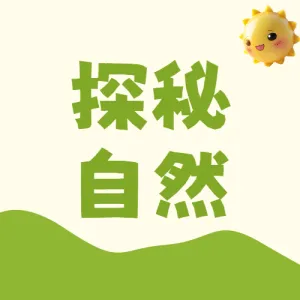 露营活动宣传