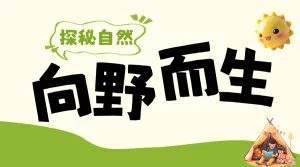 露营活动宣传