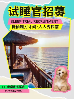 旅游民宿试睡官招募
