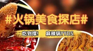 美食探店小红书