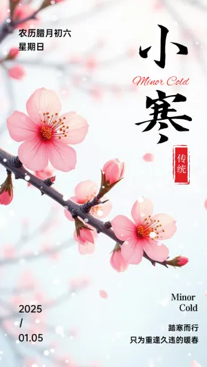 小寒传统节气介绍企业祝福宣传