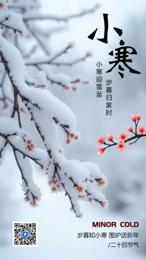 创意小寒二十四节气企业宣传