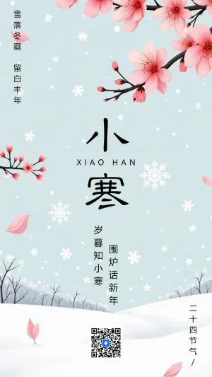 小寒节气企业祝福宣传简约