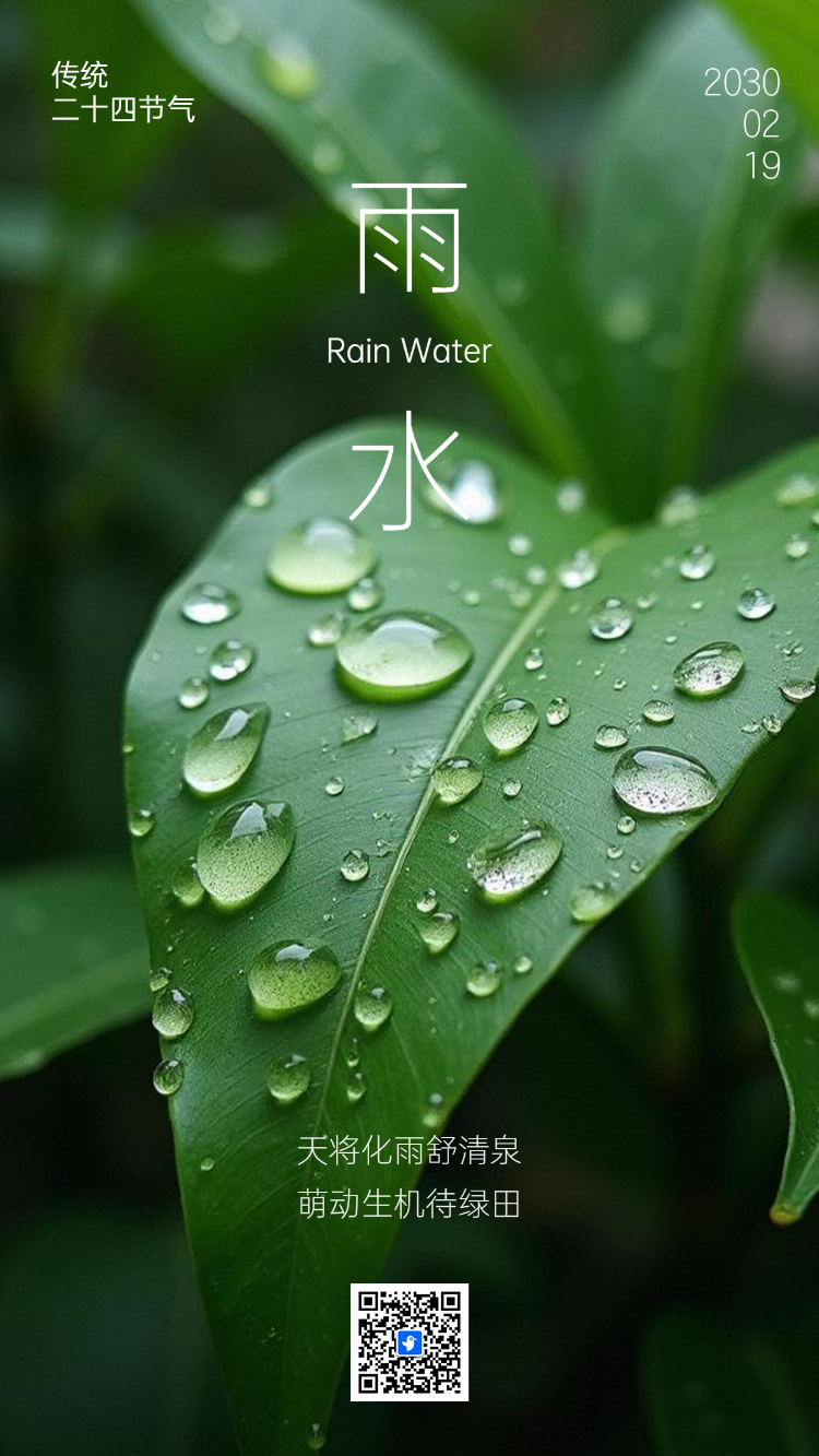 中国风雨水节气介绍企业宣传