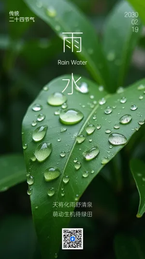 中国风雨水节气介绍企业宣传