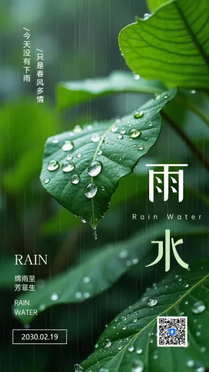 中国风二十四节气雨水节气介绍企业宣传