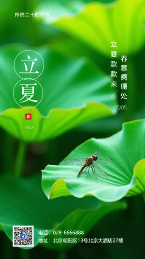 清新中国风二十四节气立夏节气习俗介绍节日问候宣传