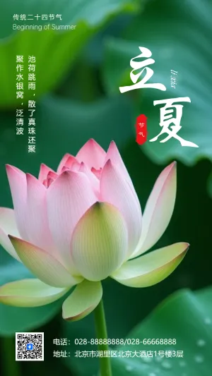 小清新风二十四节气之立夏节气习俗介绍企业宣传