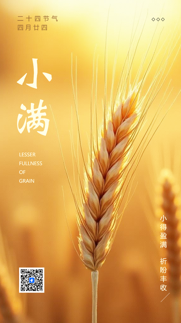 二十四节气小满节气祝福企业宣传
