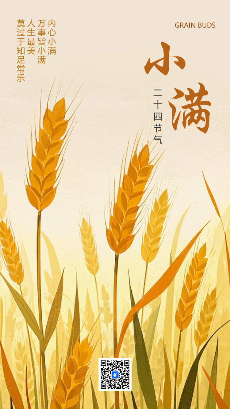 小满习俗介绍小满祝福二十四节气宣传