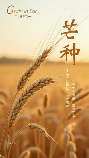 芒种节气介绍祝福