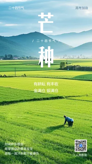 芒种企业宣传节日祝福