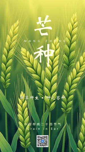 芒种养生知识宣传科普