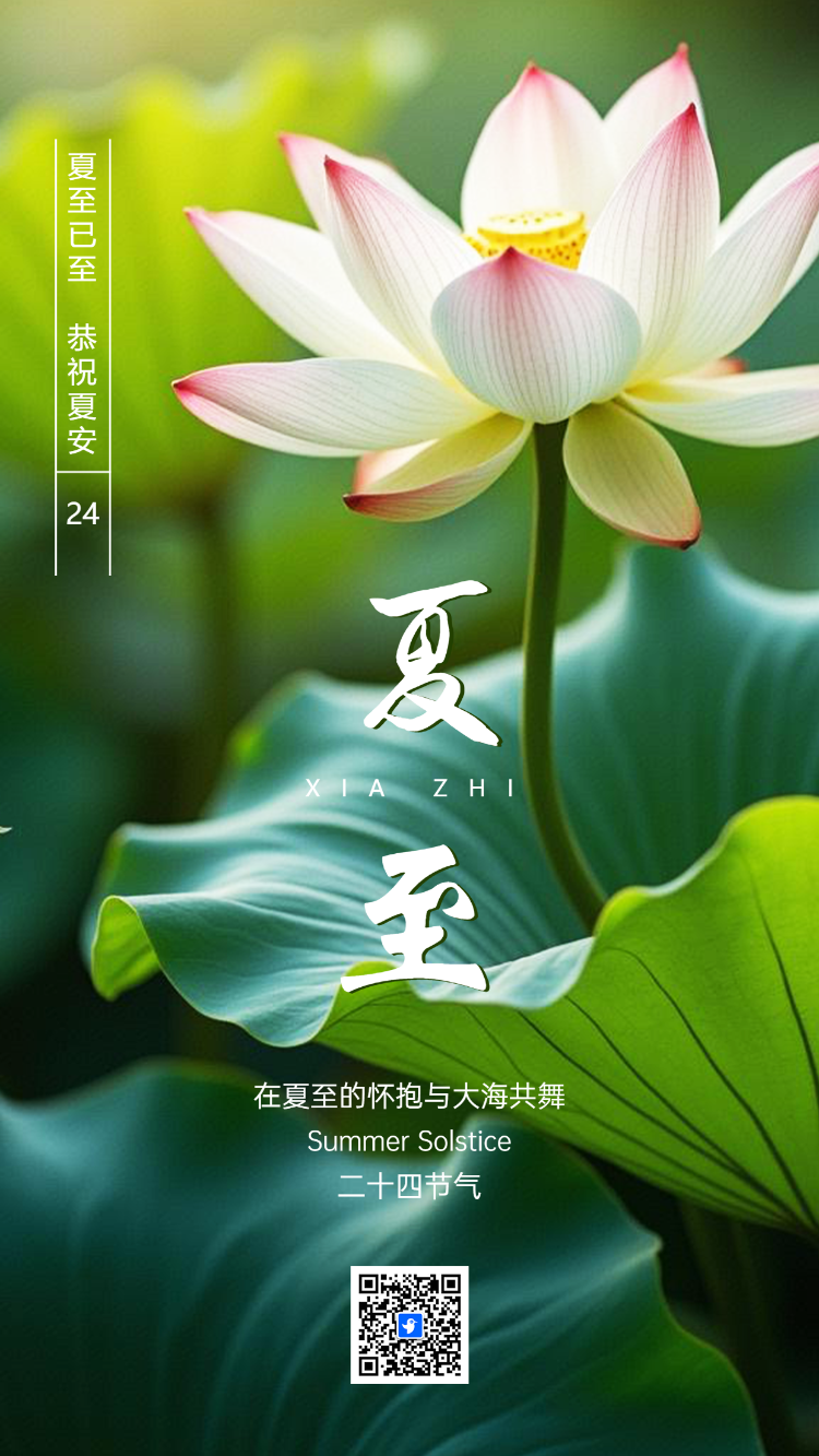 正版清新24节气夏至企业祝福节气介绍企业宣传