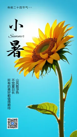 小暑节气宣传知识科普节日祝福企业宣传