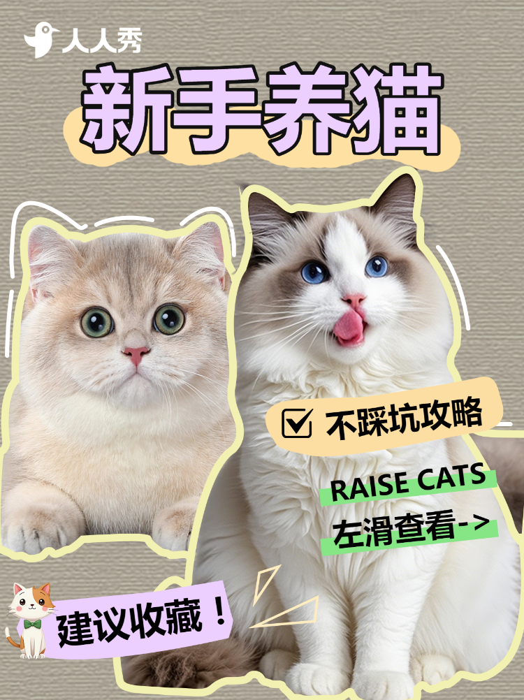 宠物猫咪知识科普