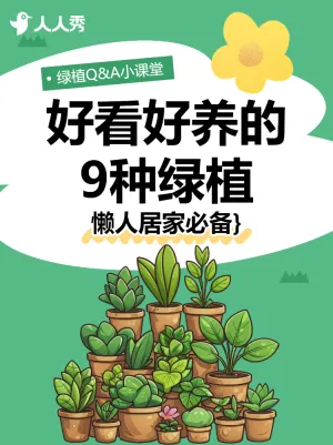 知识科普,家居家装,甲醛,绿植知识