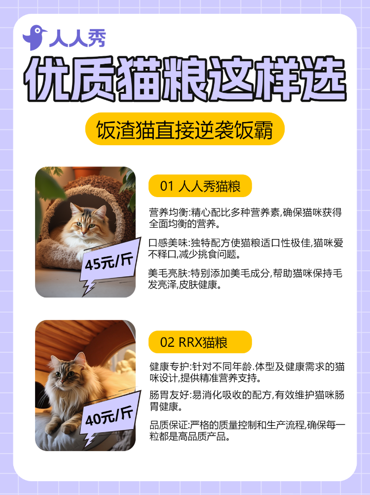 宠物新手知识科普攻略