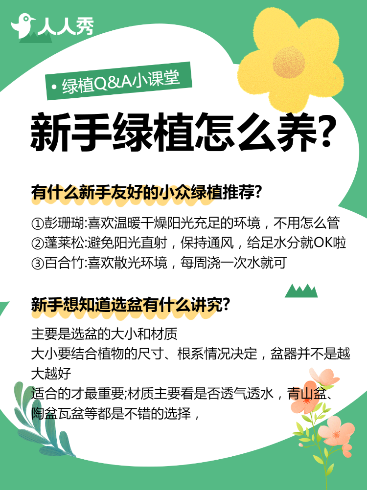 知识科普,家居家装,甲醛,绿植知识