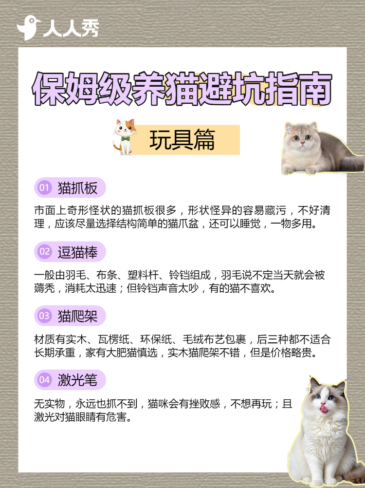 宠物猫咪知识科普