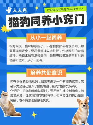 宠物知识攻略科普