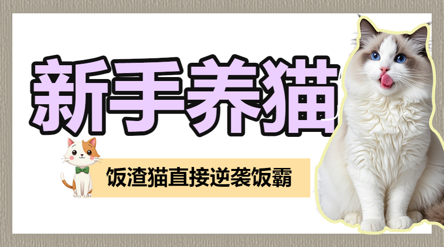 宠物猫咪知识科普