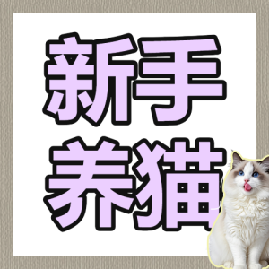 寵物貓咪知識科普