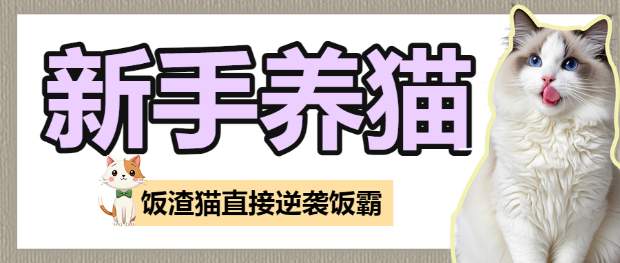 宠物猫咪知识科普