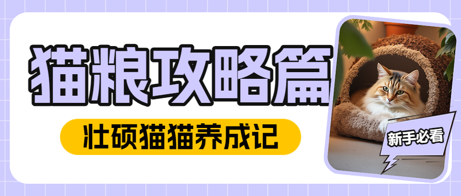 宠物新手知识科普攻略