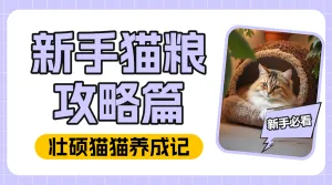 宠物新手知识科普攻略