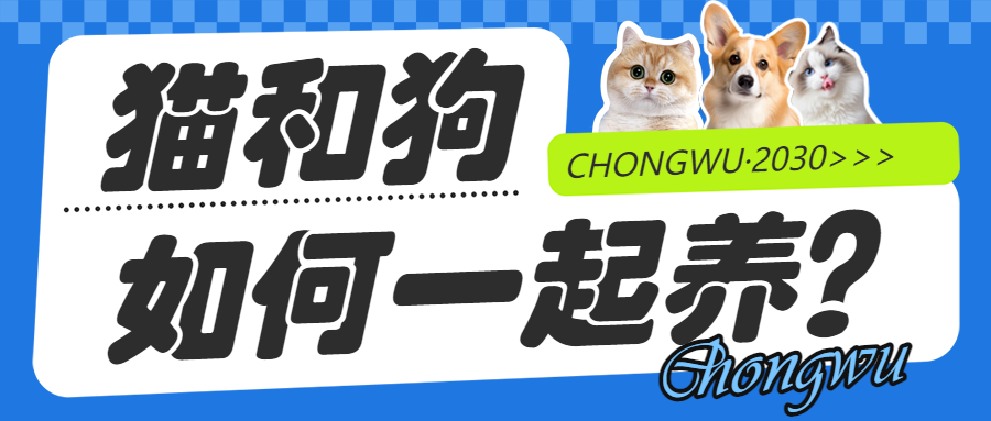 宠物知识攻略科普