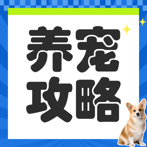 宠物知识攻略科普