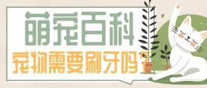 宠物知识科普