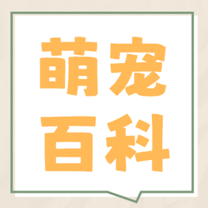 寵物知識科普