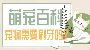 宠物知识科普