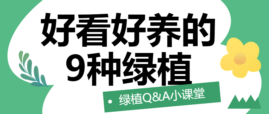 知识科普绿植知识