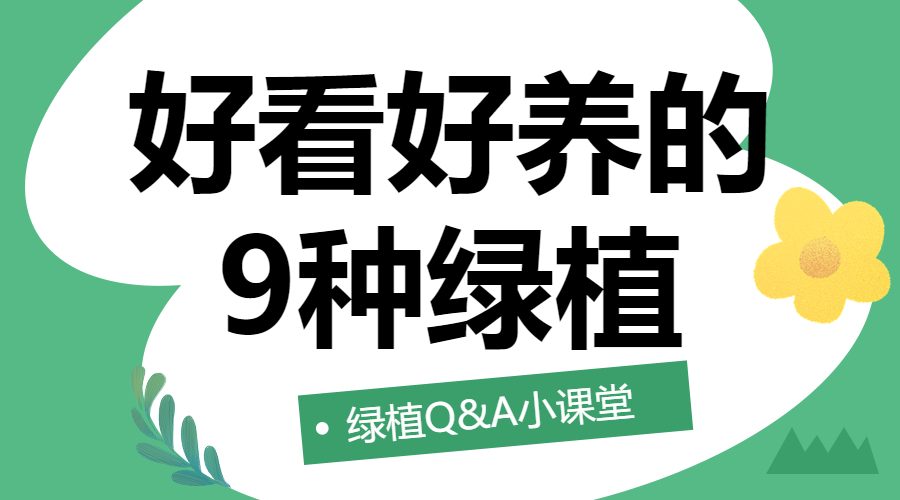 知识科普,家居家装,甲醛,绿植知识