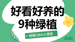 知識科普,家居家裝,甲醛,綠植知識