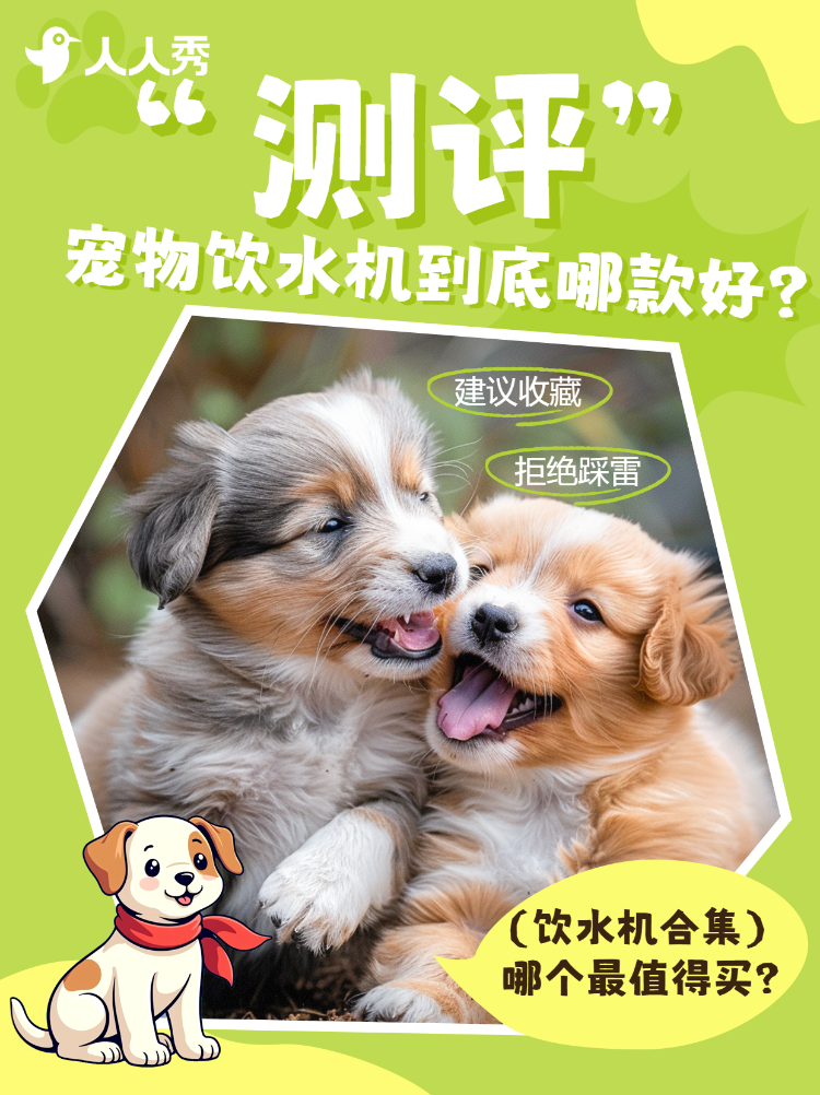 宠物饮水机产品测评