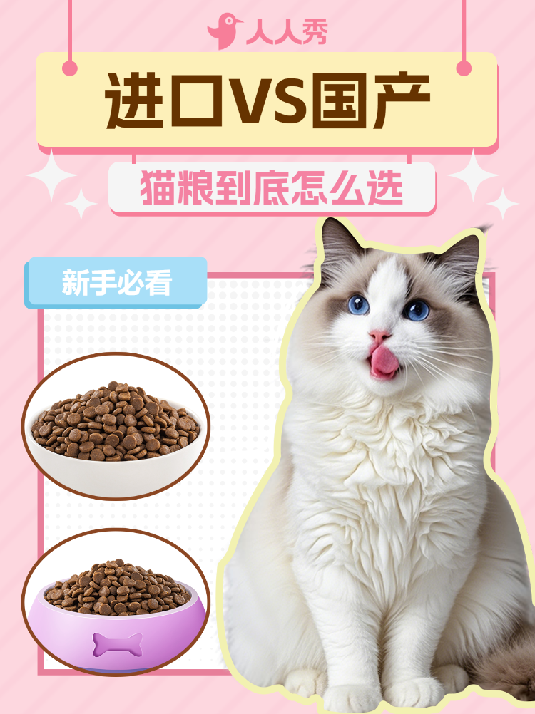 宠物知识科普猫粮怎么选