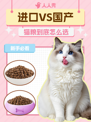 寵物知識科普貓糧怎么選
