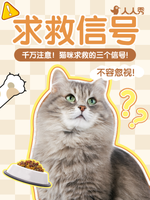 萌寵狗糧測評推薦